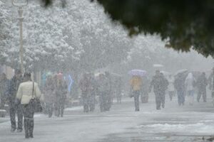 В Закарпатье, а также в Винницкой и Одесской областях ожидается дождь, в Карпатах – с мокрым снегом