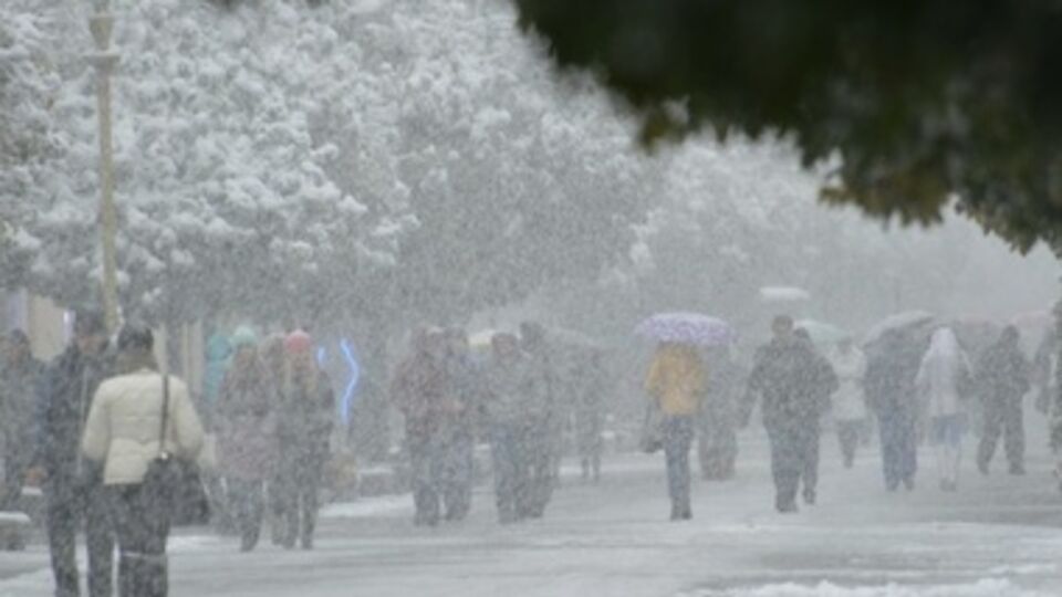В Закарпатье, а также в Винницкой и Одесской областях ожидается дождь, в Карпатах – с мокрым снегом