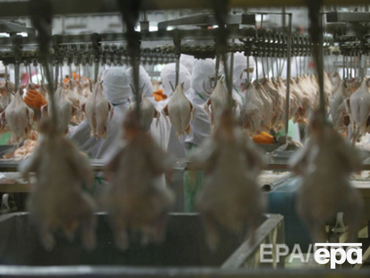 В Крым не пропустили почти 50 тонн мяса птицы
