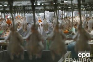 В Крым не пропустили почти 50 тонн мяса птицы