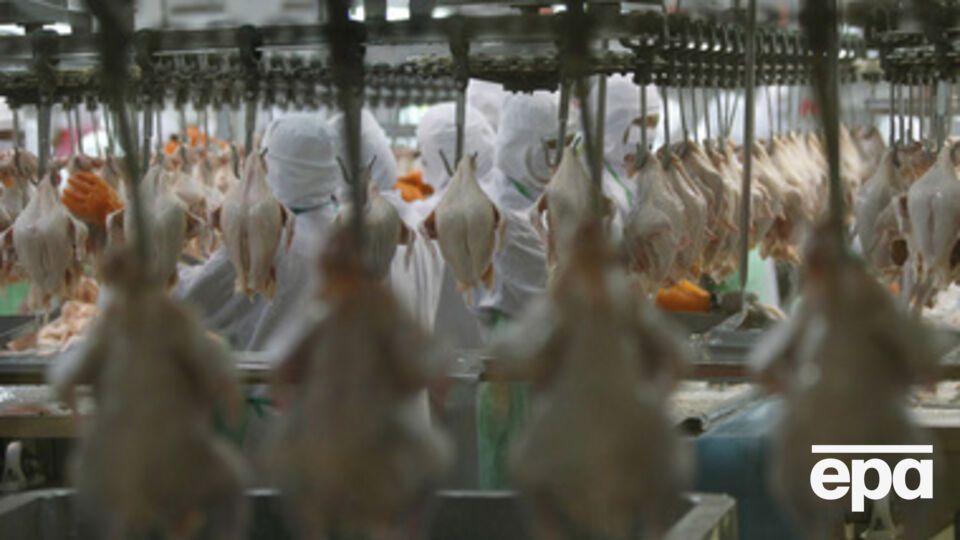 В Крым не пропустили почти 50 тонн мяса птицы