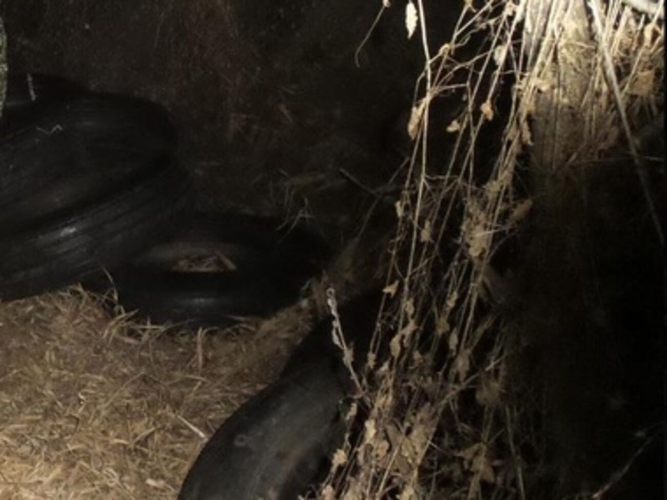 Пограничники пообещали передать найденные покрышки фискальным органам