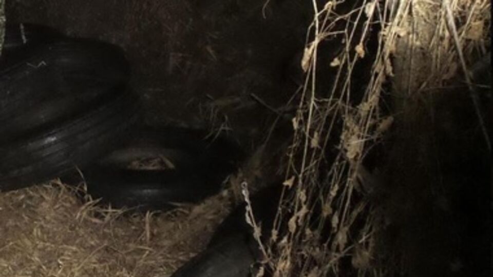 Пограничники пообещали передать найденные покрышки фискальным органам