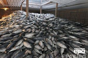 Рыбу вернули на материковую Украину