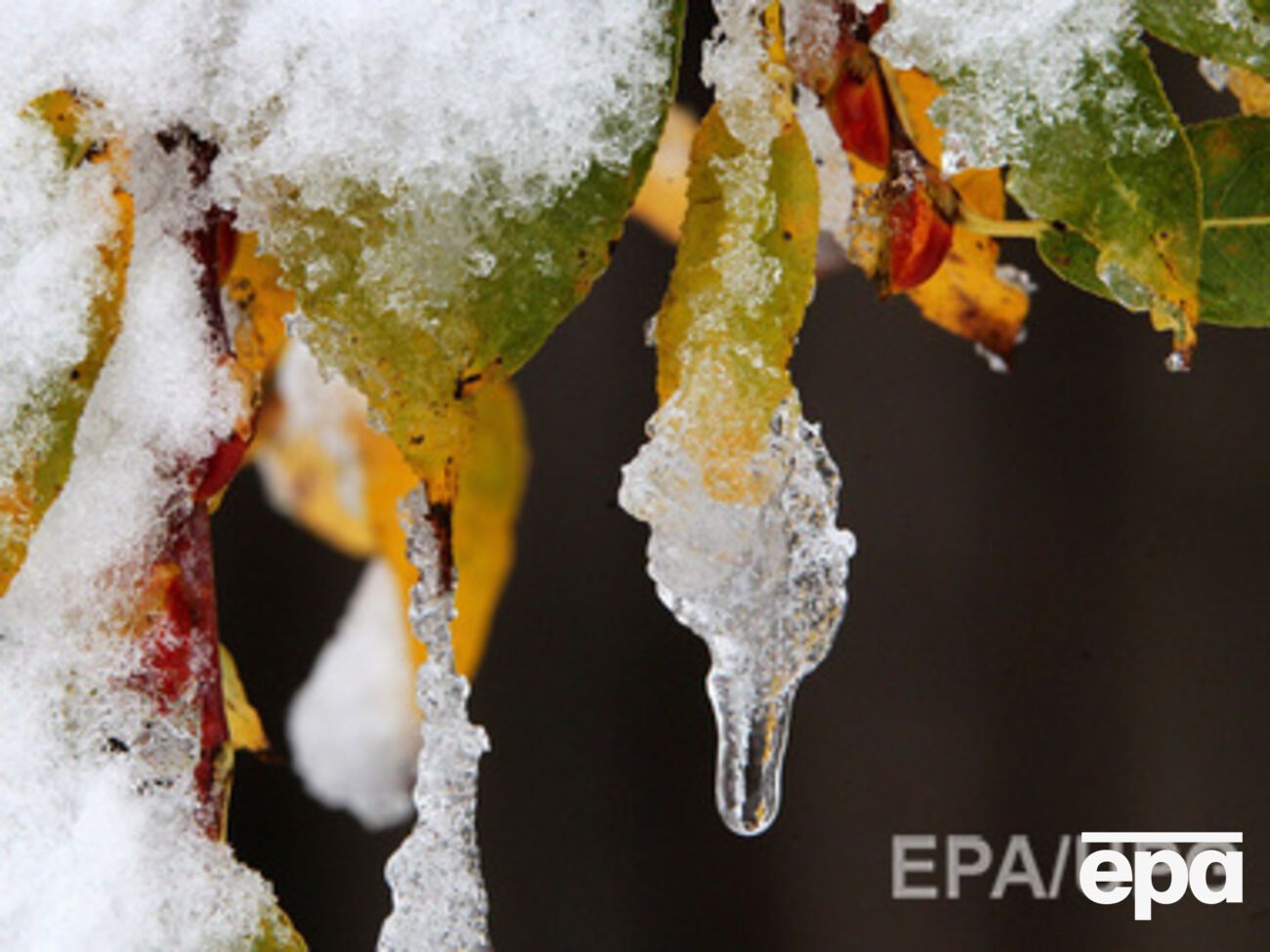 В Киеве сегодня возможны сильные осадки
