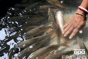 Крымчане не получили иностранную рыбу