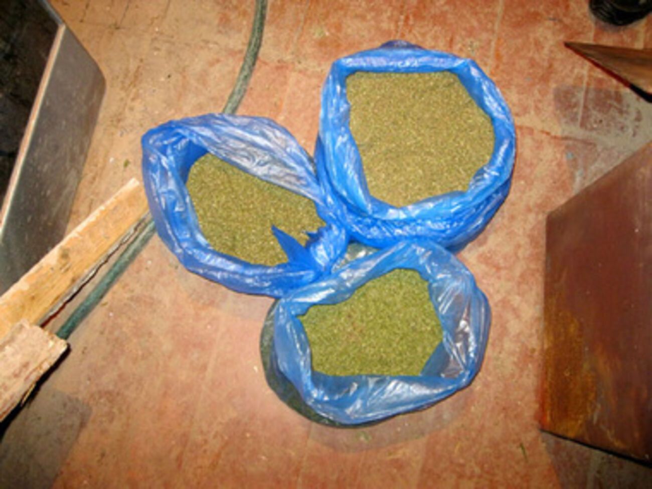 Сепаратисты-растаманы. В Славянске милиция изъяла четыре мешка марихуаны. Фоторепортаж