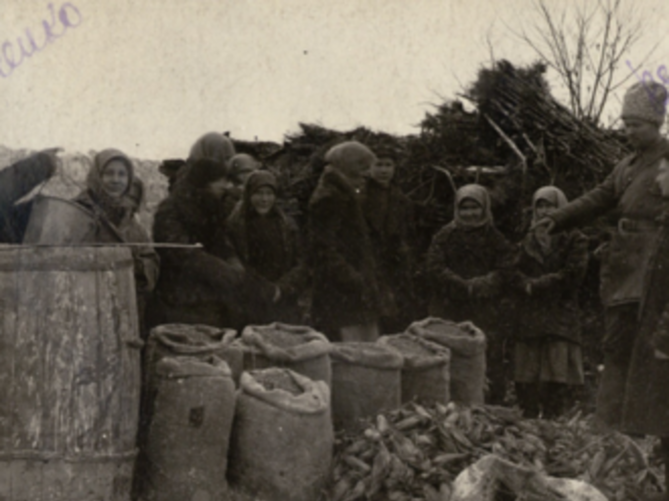 Перед Голодомором в Восточной и Центральной Украине были бунты