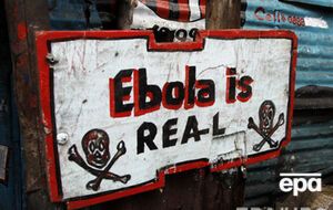 В ВОЗ заявили, что ситуация в Гвинее стабилизируется