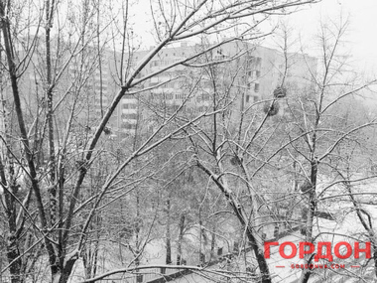 В Киеве идет снег