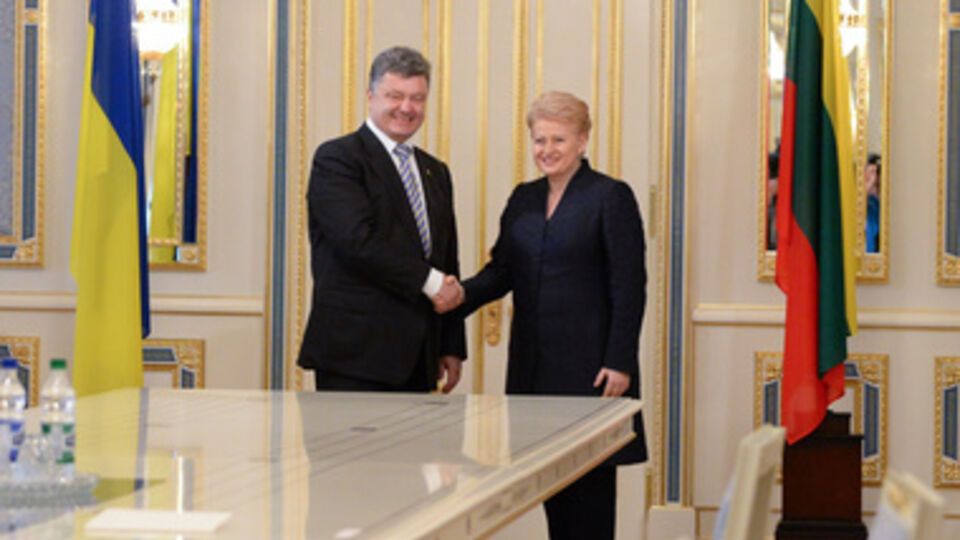 Грибаускайте встретится с Порошенко и Яценюком