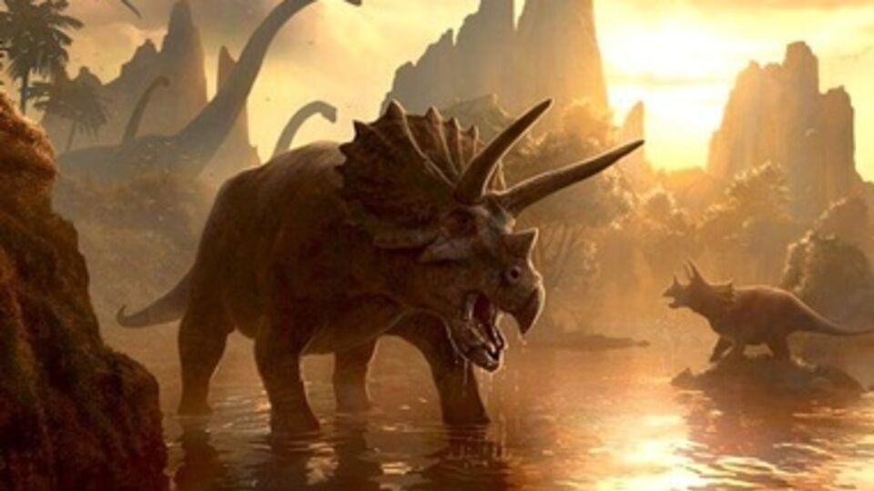 Новый вид принадлежит к Пентацератопсам