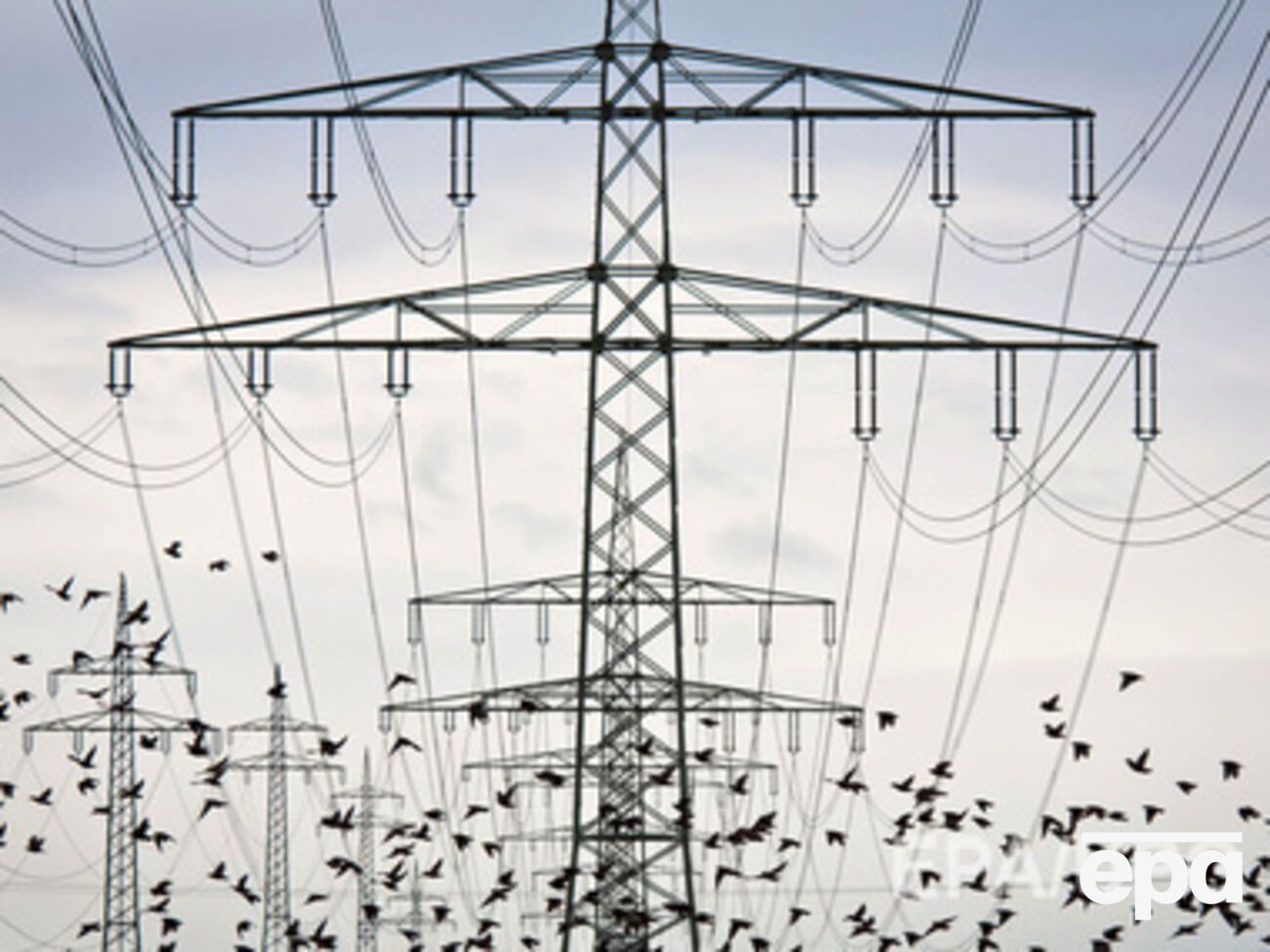 Минэнерго не против импорта электричества из России