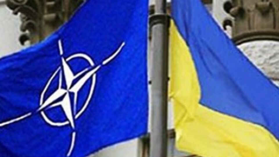 В Блоке Порошенко хотят сближения с Североатлантическим альянсом