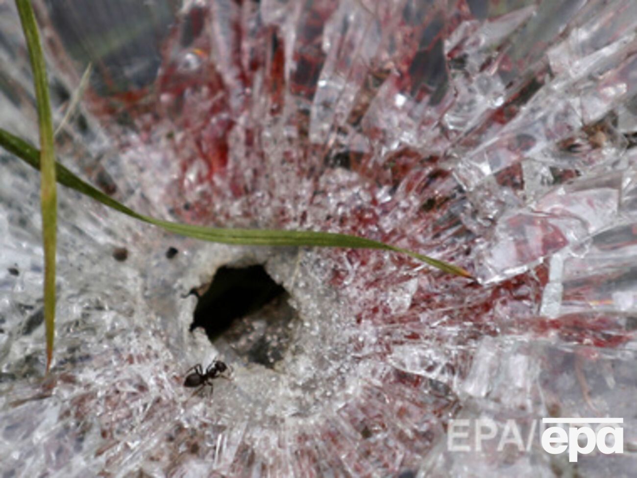 ООН опубликовала отчет о погибших и раненых на Донбассе