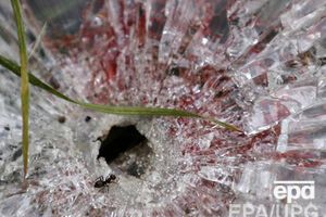 ООН опубликовала отчет о погибших и раненых на Донбассе