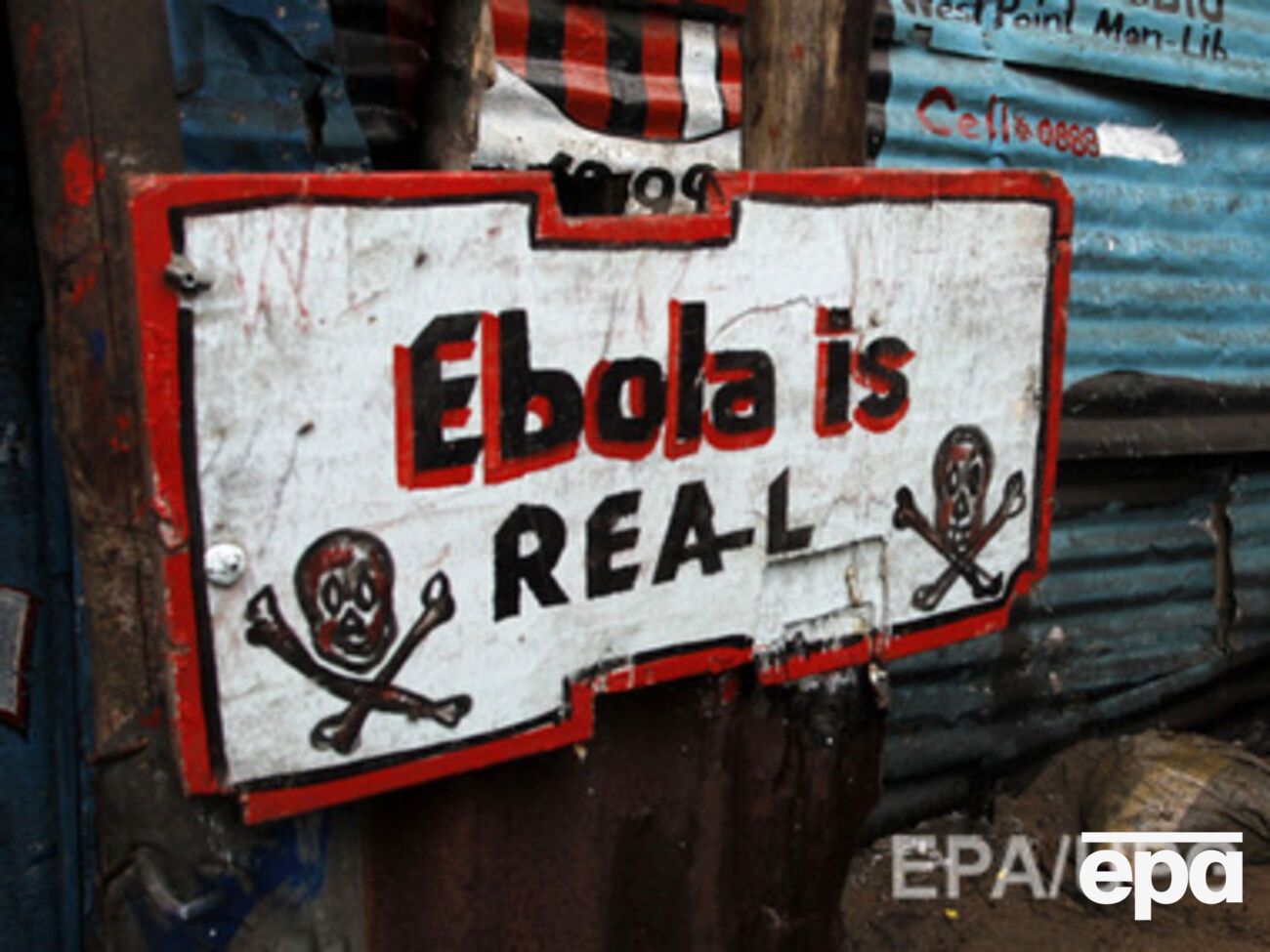 От вируса Эбола в мире умерли почти пять тысяч человек