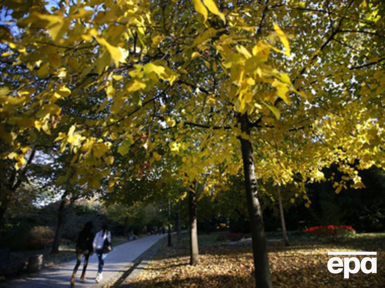 Теплее всего будет в западных областях