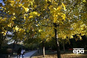 Теплее всего будет в западных областях