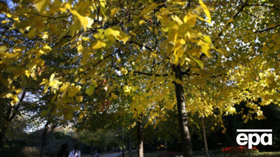 Теплее всего будет в западных областях