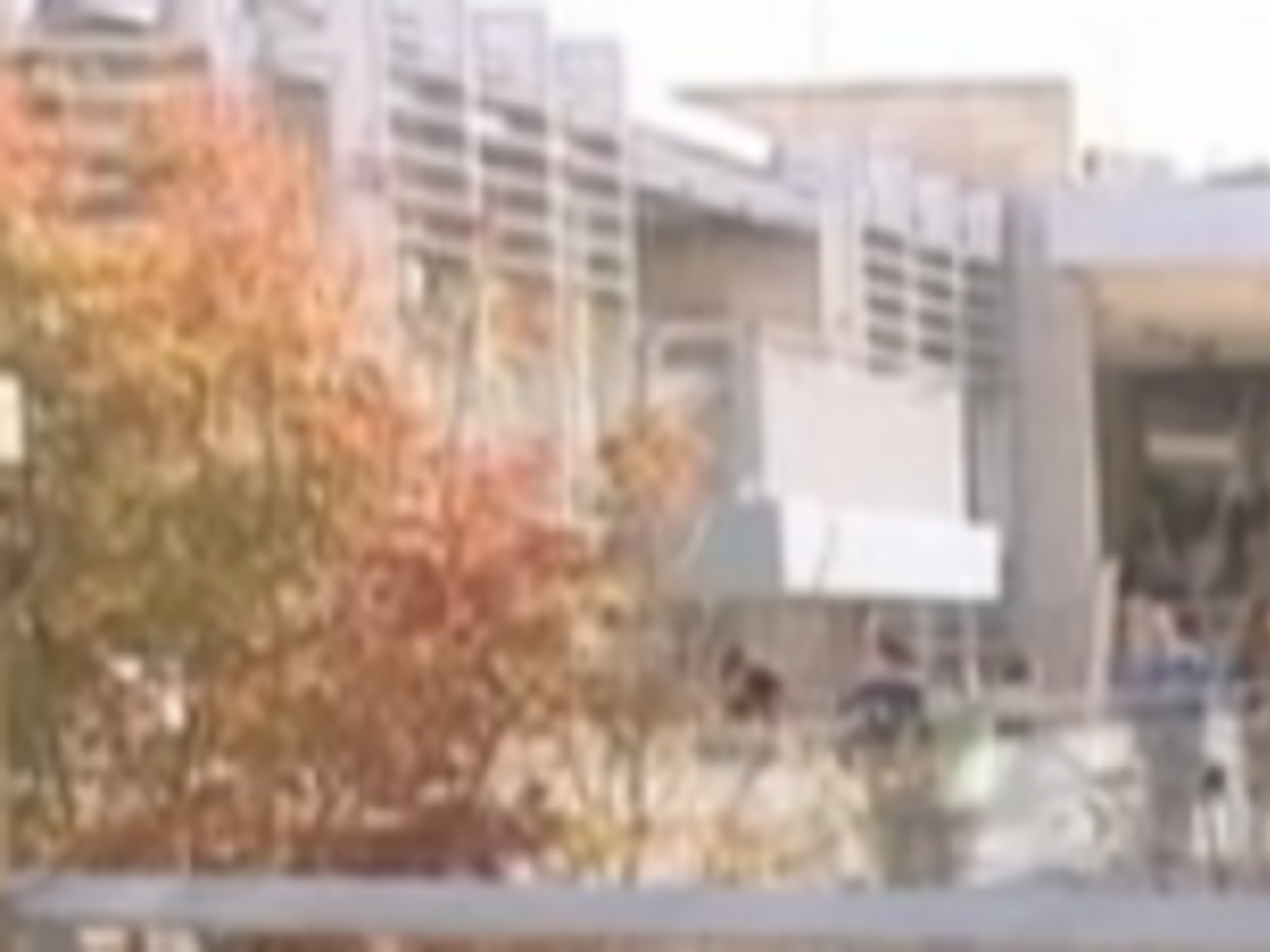 Эта школа входит в организацию &ldquo;Рука об руку&rdquo;, которая борется за мирное сосуществование евреев и палестинцев