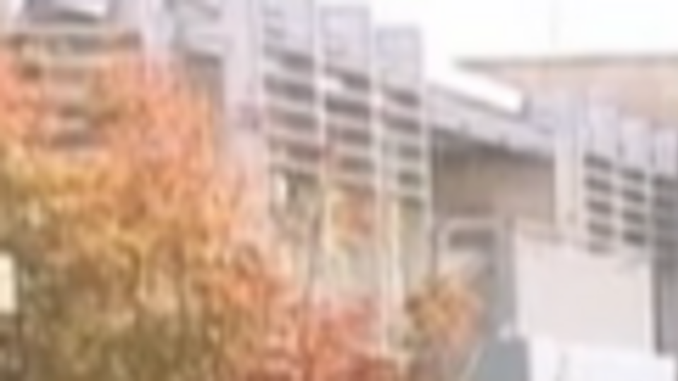 Эта школа входит в организацию “Рука об руку”, которая борется за мирное сосуществование евреев и палестинцев