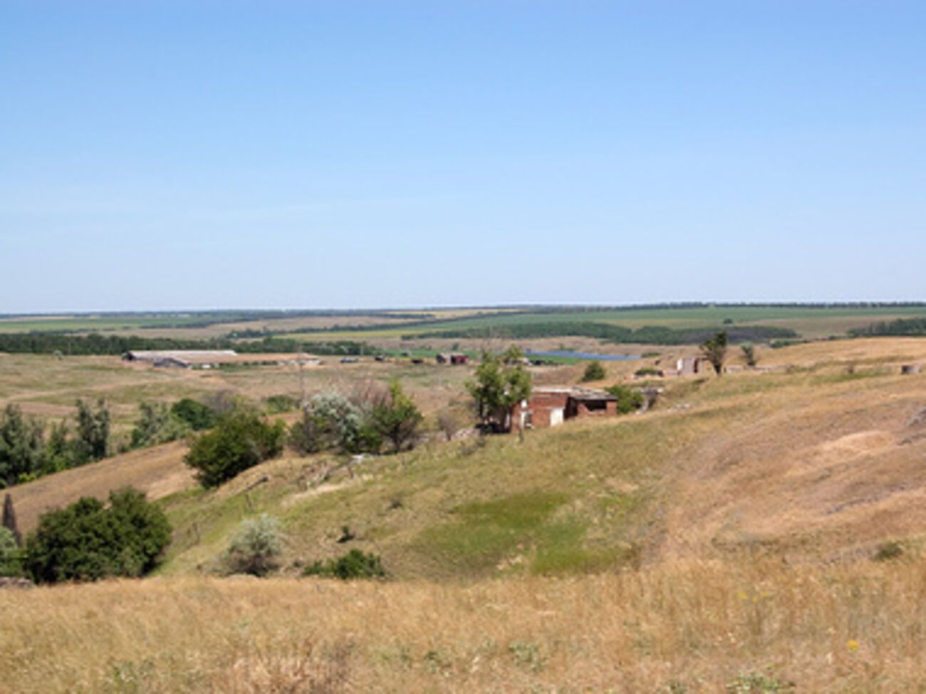 Казанский: На Донбассе есть гектары брошенных огородов и разграбленных дачных поселков