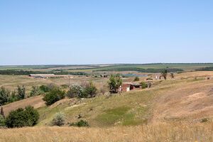 Казанский: На Донбассе есть гектары брошенных огородов и разграбленных дачных поселков