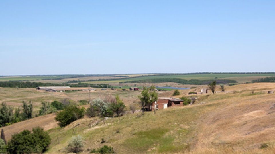 Казанский: На Донбассе есть гектары брошенных огородов и разграбленных дачных поселков