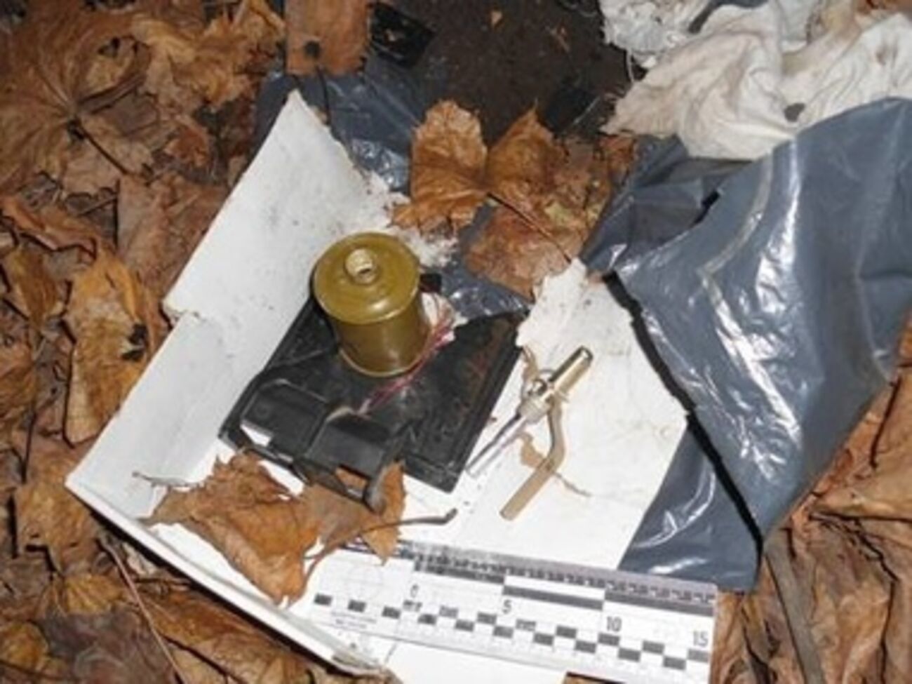 Во время обысков у членов группы были изъяты гранаты и инструкции по изготовлению взрывных устройств