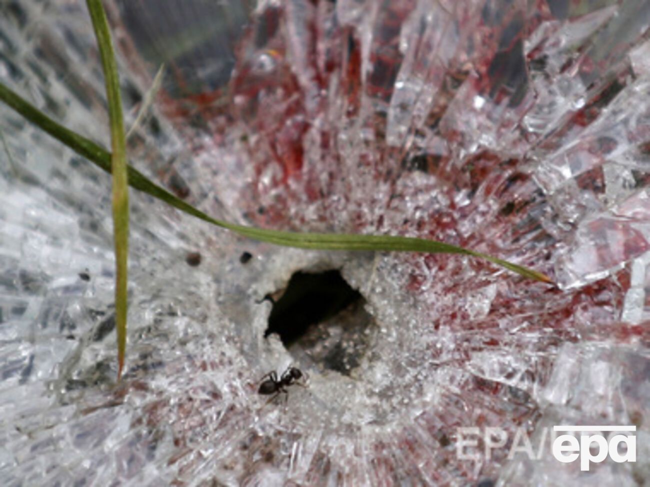 Сегодня в Донецке погибли не менее двух мирных жителей