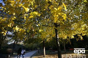 В Киеве сегодня без осадков