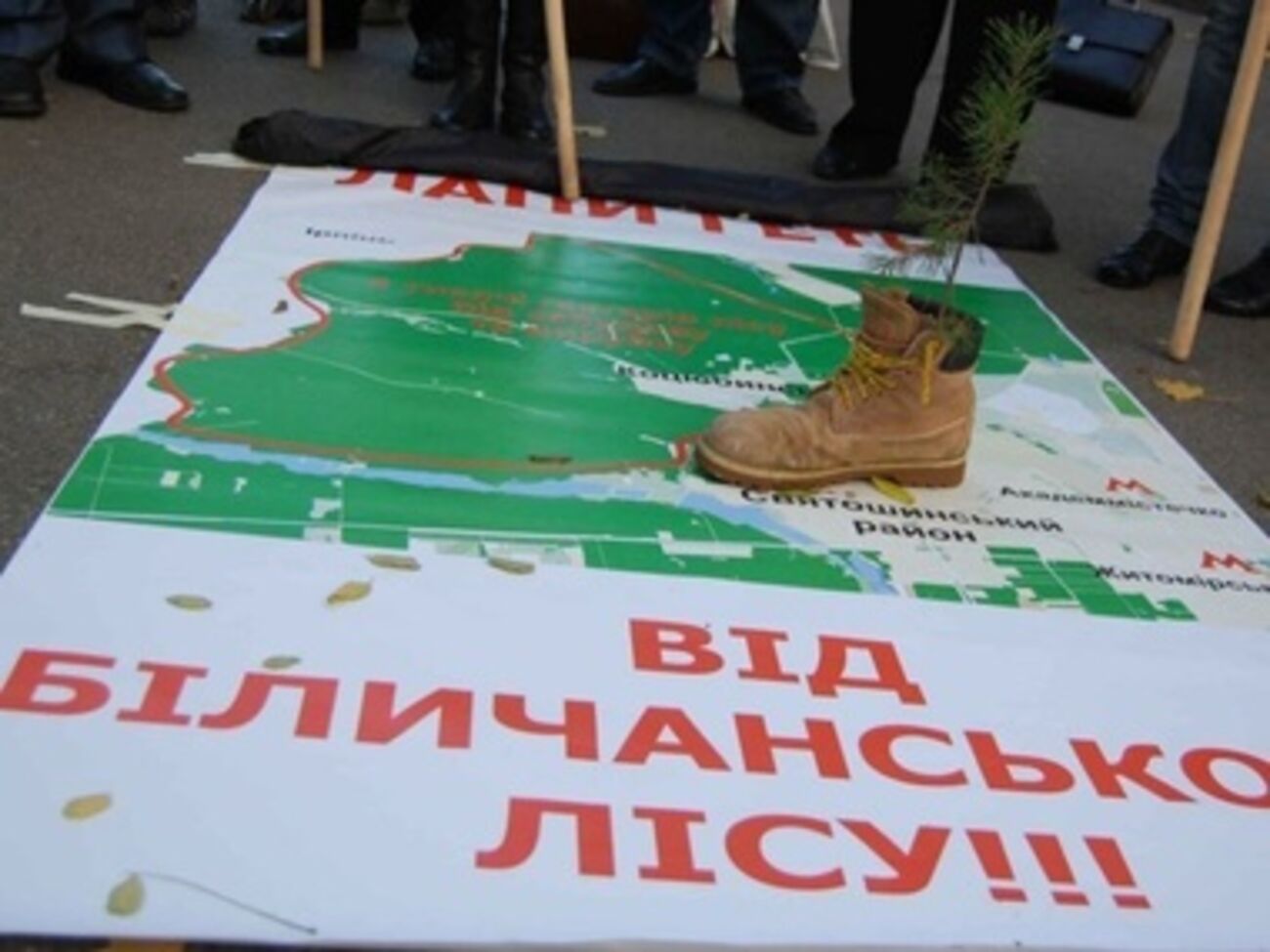 Лес вернули в госсобственность