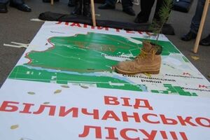 Лес вернули в госсобственность