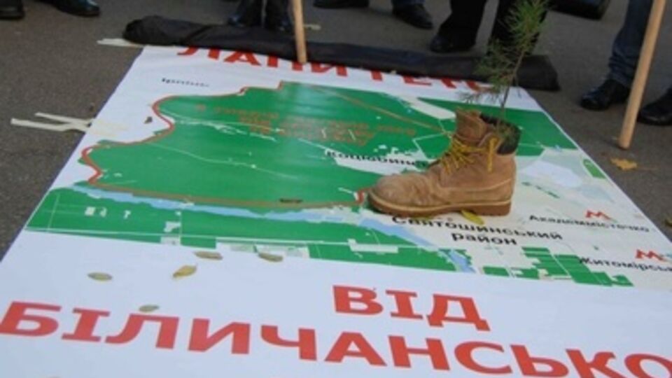 Лес вернули в госсобственность