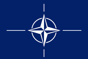 НАТО подтвердило, что Россия стягивает войска к Украине