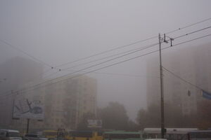 В Украине ожидается туман