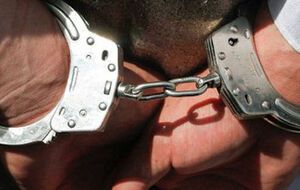 В качестве меры пресечения для злоумышленницы избрали содержание под стражей