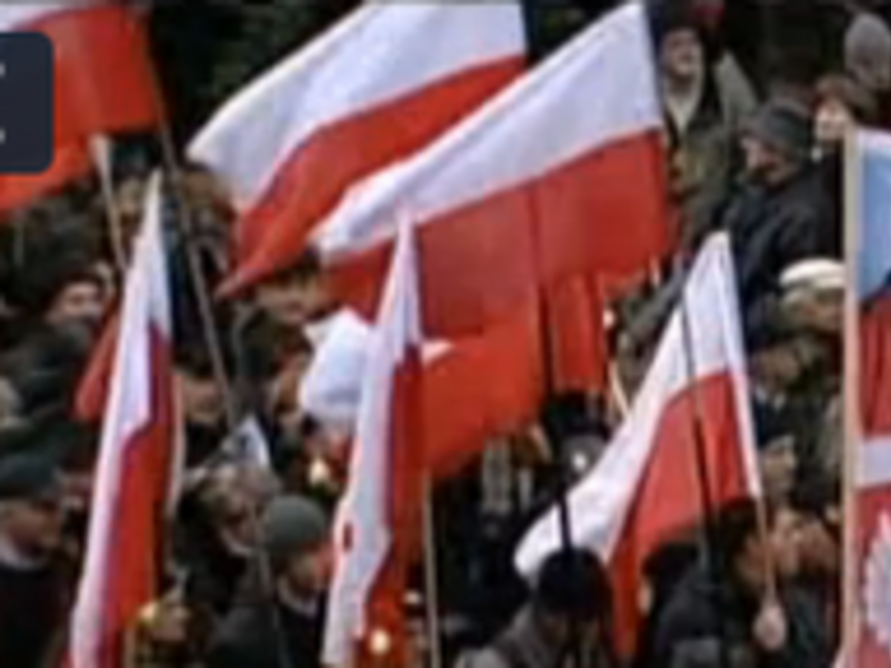 Оппозиционеры протестовали против фальсификаций, допущенных, по их мнению, в ходе ноябрьских выборов