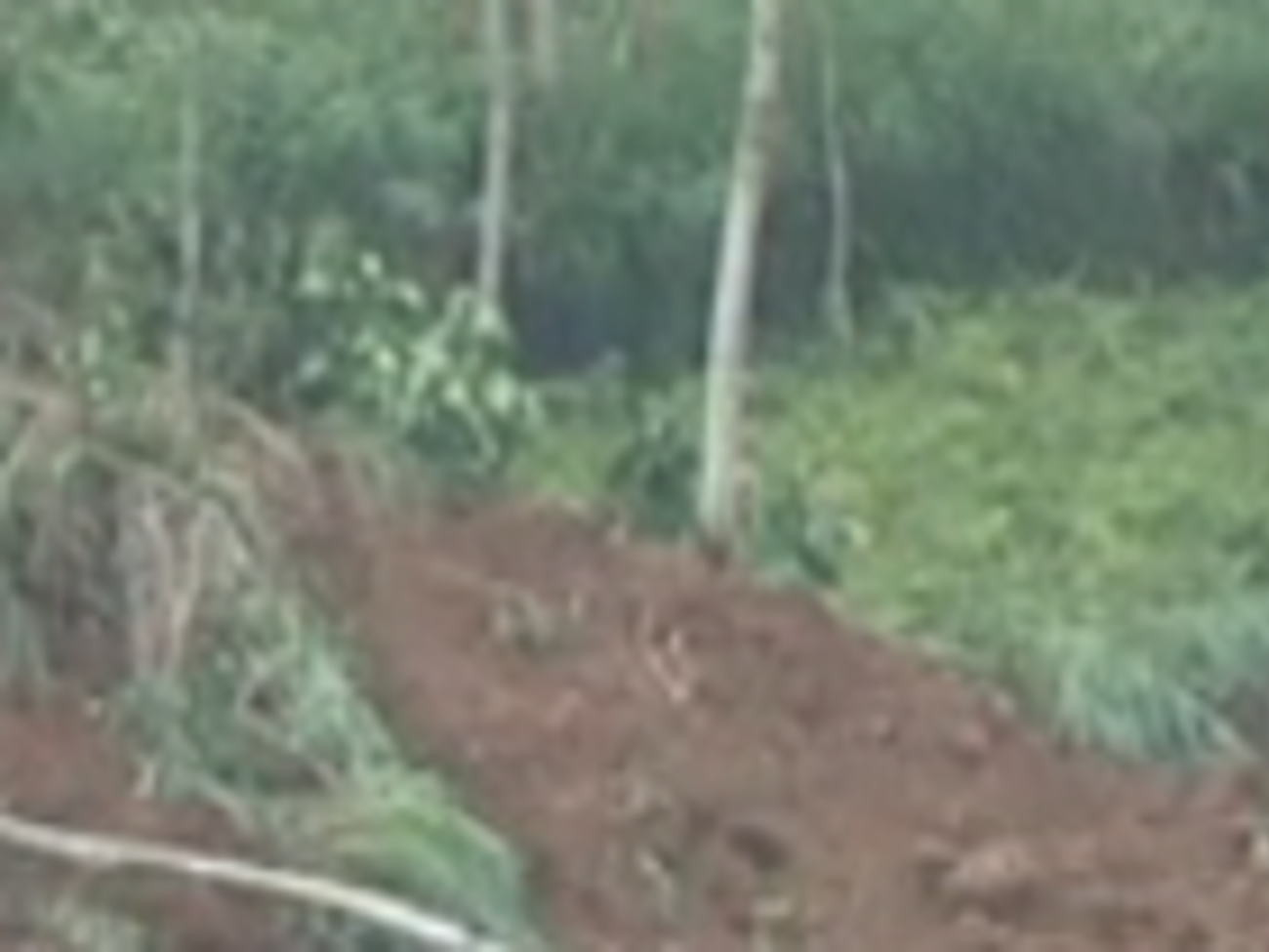 Власти страны пытаются наладить связь с пострадавшими районами