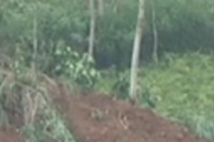 Власти страны пытаются наладить связь с пострадавшими районами