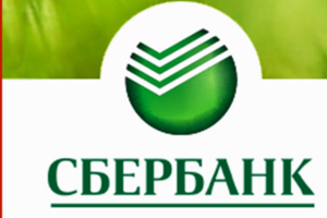 Расплатиться или снять деньги с карточки Сбербанка России временно невозможно