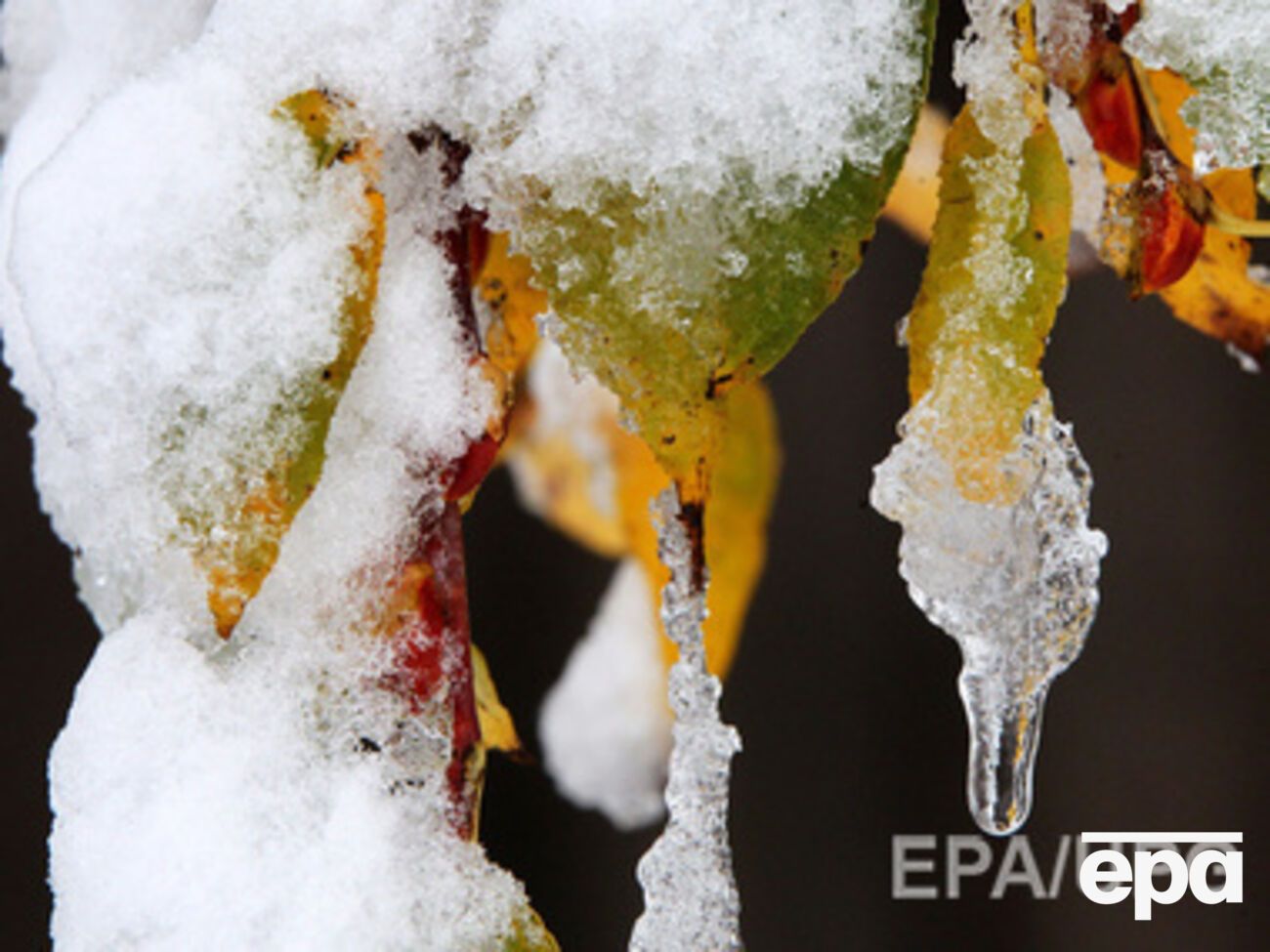 Температура немного понизится