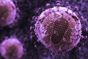 ВИЧ мутирует в организме с сильным иммунитетом