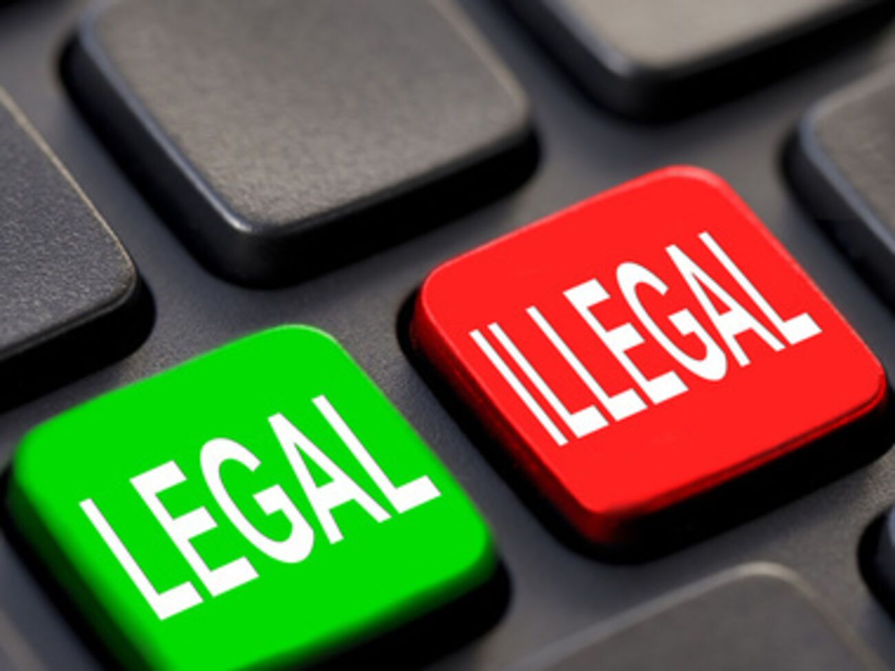 Евгений Кузьменко: Путина и Лукашенко можно понять: интернет для них априори &ndash; зловещее изобретение ЦРУ