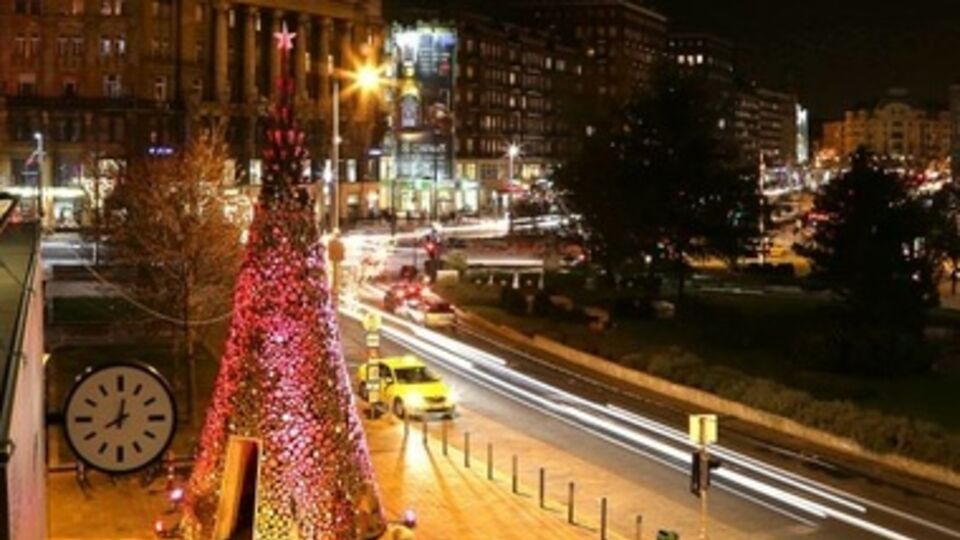 Внутри елки есть небольшая тайник, где любой желающий может уединиться для "созерцания тишины".