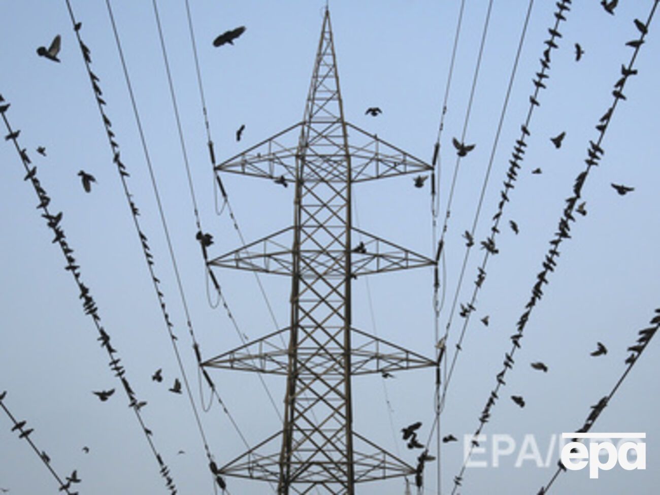 В Крым снова дали электричество