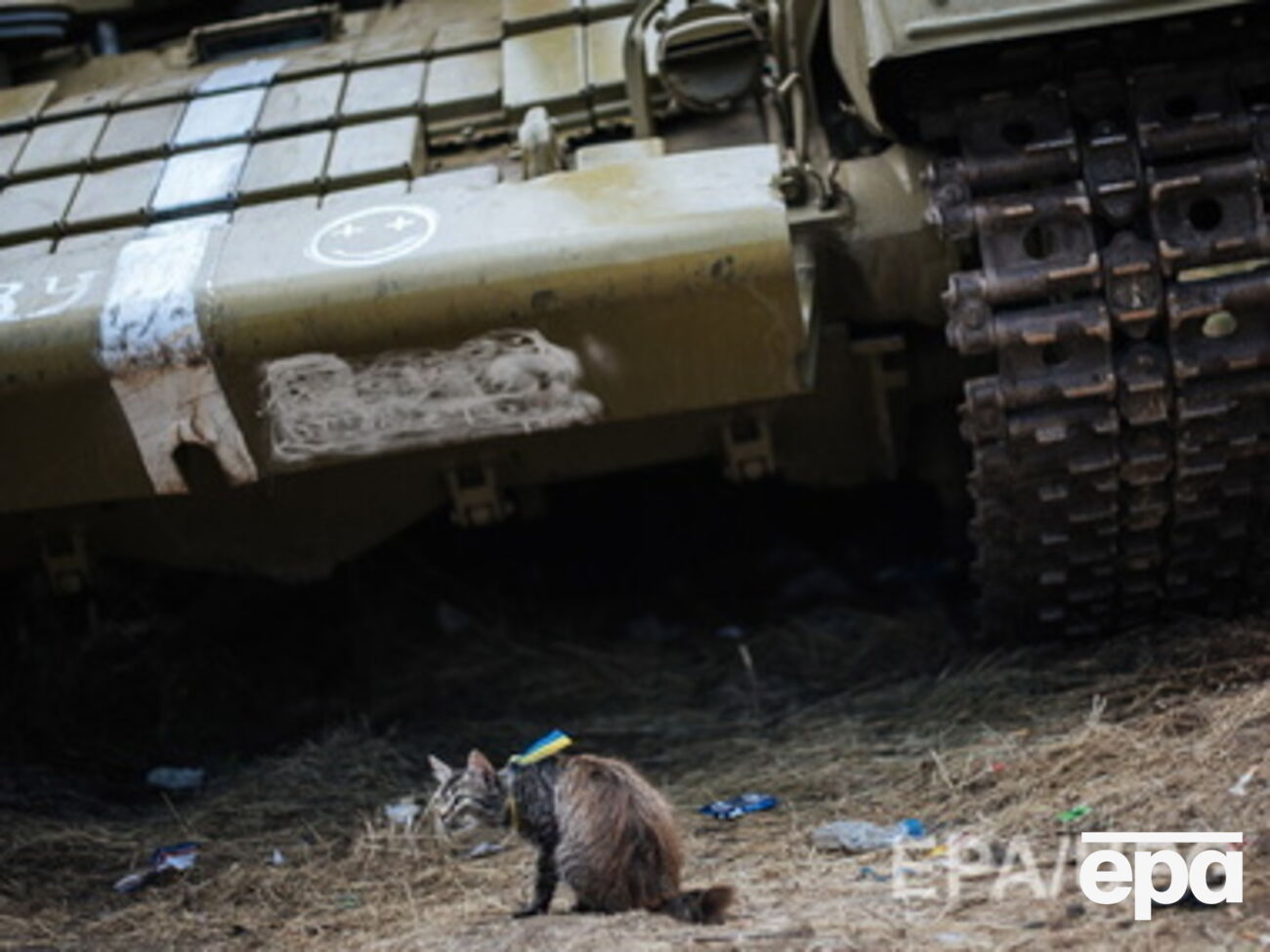 Дмитрий Тымчук сообщил, что боевики не придерживаются режима прекращения огня