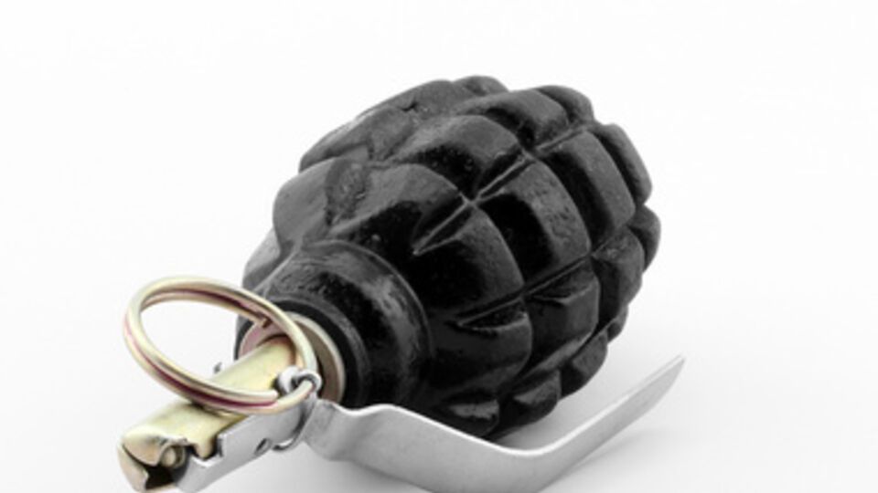 В тайнике были обнаружены патроны и гранаты (на фото – граната Ф-1)