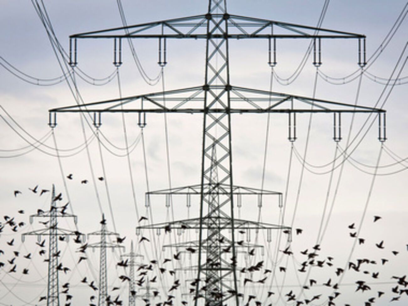 Украина вновь полностью остановила подачу электричества в Крым